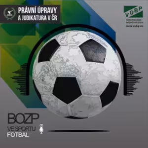 Právní úpravy a judikatura v ČR