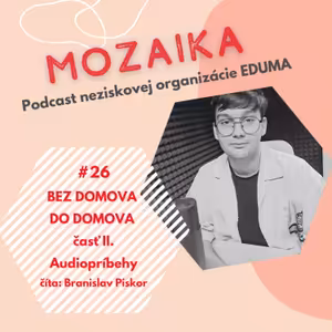 Mozaika 26 - Bez domova do domova II.