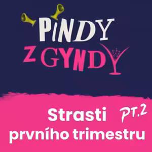 Strasti prvního trimestru pt.2