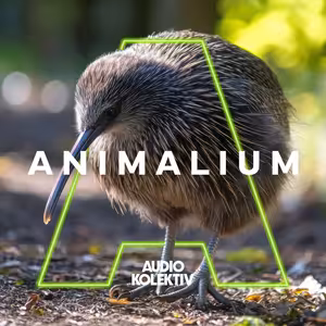 Animalium: Malý jurský park na Novém Zélandu