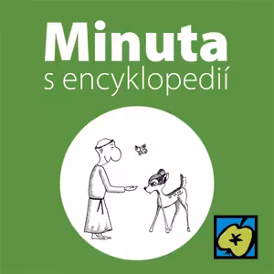 Svatý František z Assisi