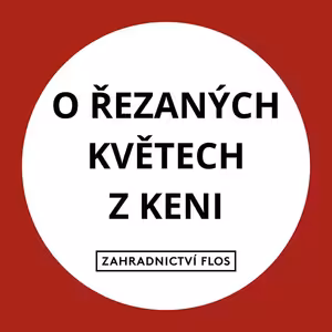 Růže z květinářství. Krása nebo luxus plný pesticidů?
