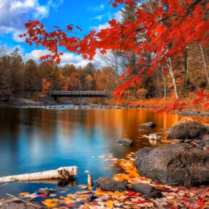 Dopoludnie na Infovojne s Adrianom 4.11.2022