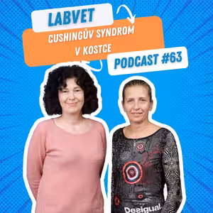 LABVET Podcast #63 - Cushingův syndrom v kostce