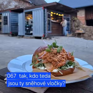 067 tak, kdo teda jsou ty sněhové vločky?