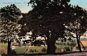 Zelení poutníci času část druhá