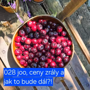 028 joo, ceny zrály a jak to bude dál?!