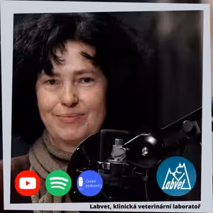 Strašák jménem psincový kašel