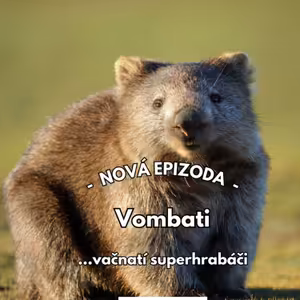 20: Nora plná překvapení