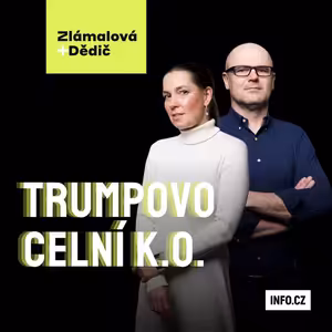 Čím může Evropa odvrátit Trumpova vysoká cla?