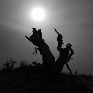 Pramen obrácení (3. mezidobí 2023 Tachov)