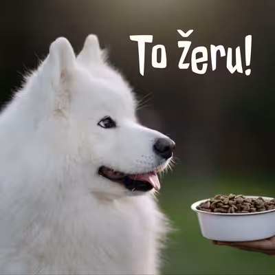 To žeru!