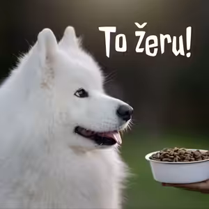 Vybíráte granule? | #02