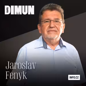 Vynucená přiznání výměnou za svobodu? Fenyk varuje před zneužíváním dohod o vině a trestu