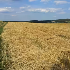 Utorok po 3. veľkonočnej nedeli