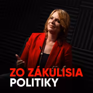Remišová: Kaliňák má históriu klamstiev - pri Vietnamcovi aj Hedvige Malinovej [Zo zákulisia politiky]