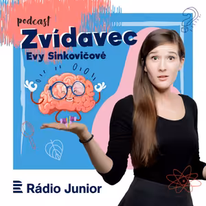 Zvídavec Evy Sinkovičové