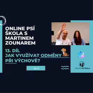 #13 Jak využívat odměny při výchově