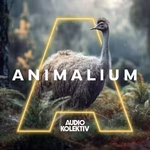 Animalium: Pták Moa a lidožravý orel