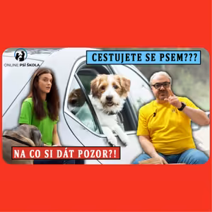 #32 Cestujete se psem?