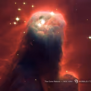 KraťoučKéKe LIVE 11.5 .14. 2