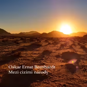 XXV - Mezi cizími národy - Zodpovědnost šejka