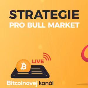 BK LIVE: Moje investiční strategie pro aktuální kryptoměnový bull market