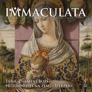 192#20-Stigmata svatého Františka