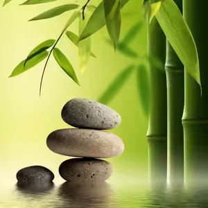 SENDVIČ (FengŠuej, hypermarkety)