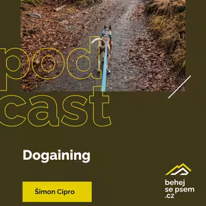 Dogaining | Šimon Cipro