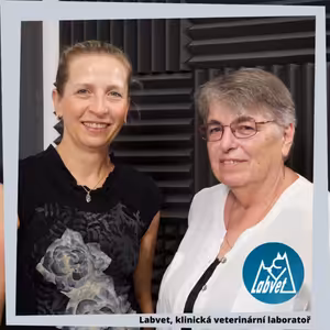 Dědičně podmíněné choroby psů