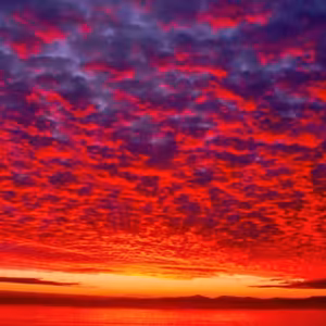 Dopoludnie na Infovojne s Adrianom 8.8.2022