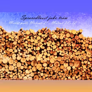 Mesiáš podle Matouše 21 - Spravedlnost jako trám - Bohuslav Wojnar (2.12.2012)