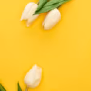 HOROSKOPY: Býci, nejsilnější zážitky vás čekají v milostné oblasti. Těšte se