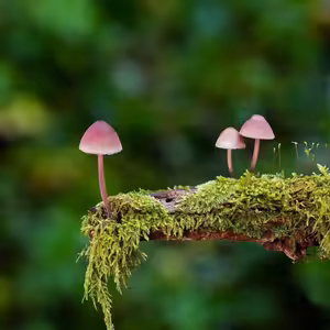 INESS do UCHA #12: Pokrok, ktorý si zaslúži povolenie