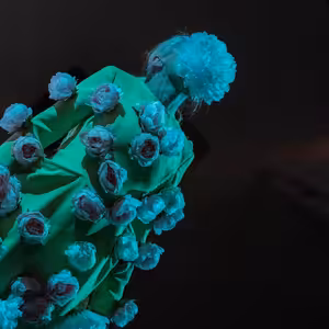 Dominik Obruča - Prázdný dům