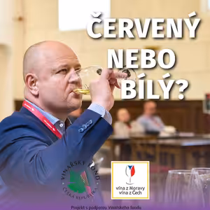 009: O začátcích české Asociace sommelierů s Ivo Dvořákem