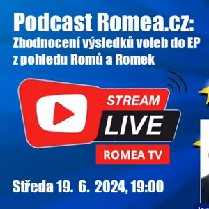 Výsledky voleb do EP z pohledu Romů a Romek