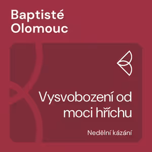 Vysvobození od moci hříchu (11.9.2022)