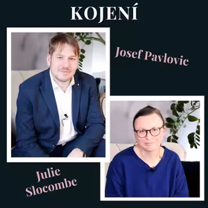 Kojení