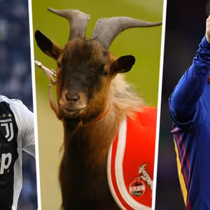 Tučkova stupnice manažerů; Liga mistrů v Plzni naživo a preview víkendu!