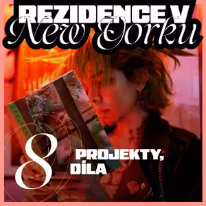 Rezidence v New Yorku 8 — Projekty, díla