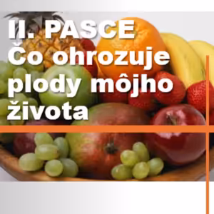 II. PASCE Čo ohrozuje dozrievanie a plody môjho života