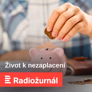 Rozpočtové určení daní krajům je nesystematické a musíme ho změnit, míní sociolog
