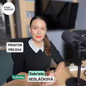Občané jsou kvůli názorům šikanováni, říká Gabriela Sedláčková ze Společnosti na obranu svobody projevu