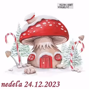 S Erikou o živote 163 - 2023-12-24 O Vianociach