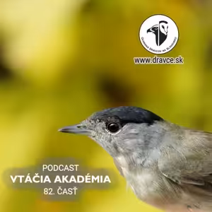 Čáry, máry, príroda. Podľa výskumov dokáže približne 60 % vtákov vedome znížiť svoju telesnú teplotu