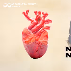 Nové srdce, nová slova - Rudolf Vrba