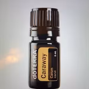 Caraway - Rasca - Kmín