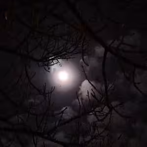 Vstaňte, nebojte se! (2. postní Skalná)